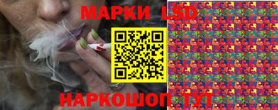 шишки Абакан
