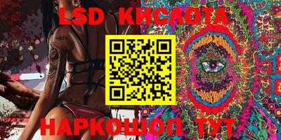шишки Абакан