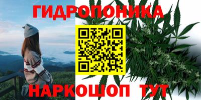 шишки Абакан