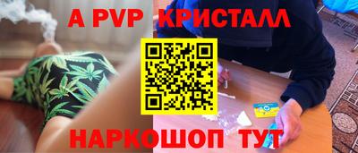 шишки Абакан